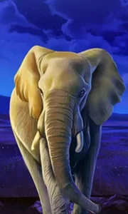 African Elephant